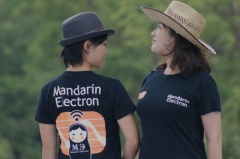 Mandarin Electron T�����